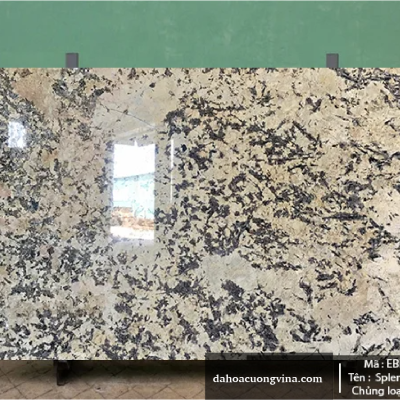 Đá Granite Splendor Cream